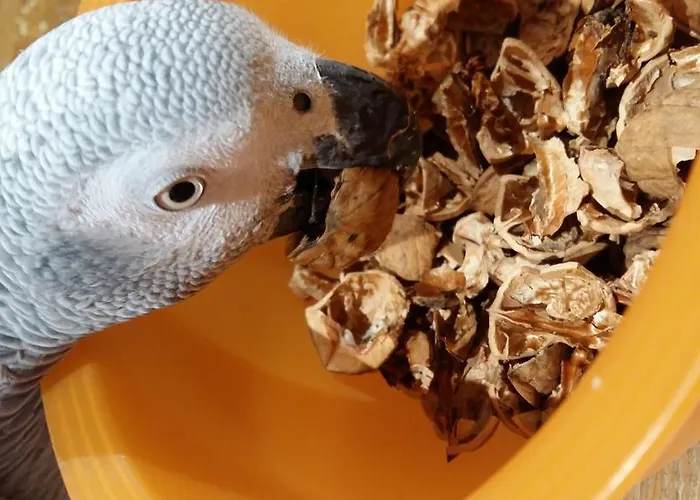 Kerstunt D'hôtes Relais Motards *